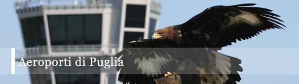 aeroporti_di_puglia